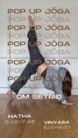 Morgun Vinyasa flæði